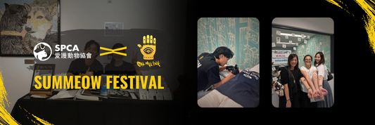 OMI x SPCA: SumMeow Festival