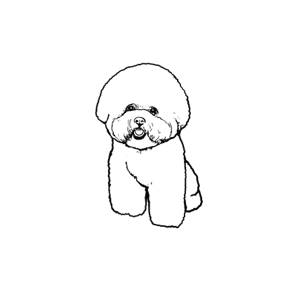 Oh My Ink x SPCA temporary tattoo - Bichon 11